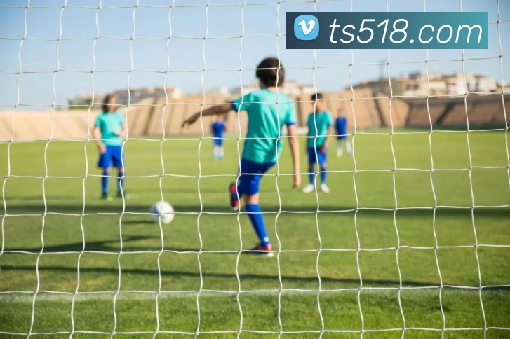 App Interface Preview