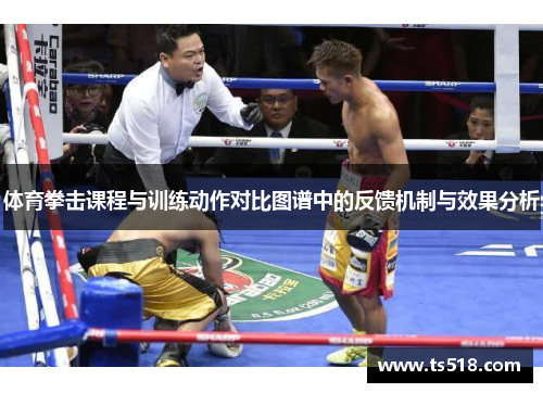 体育拳击课程与训练动作对比图谱中的反馈机制与效果分析